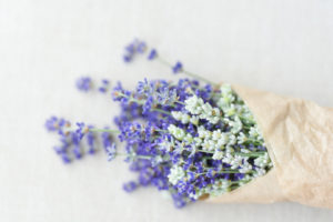 williamsburg photographer jessica jeremiah photographer lavender bouquet