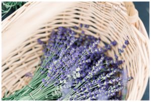 williamsburg photographer lavender basket